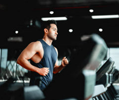 Waxy Maize - Carbohydrate Supplement (Original)